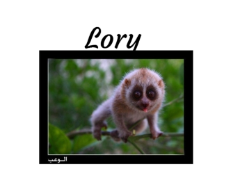 Lory