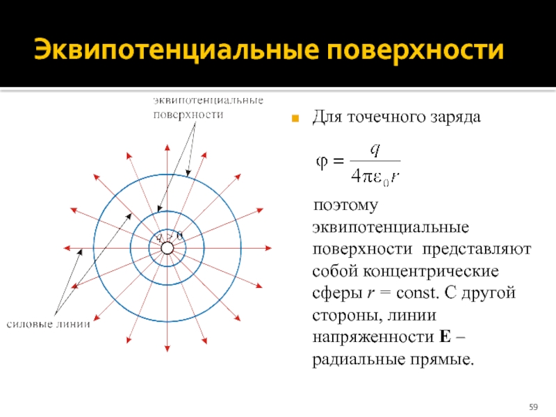 Для графического изображения распределения потенциала используются