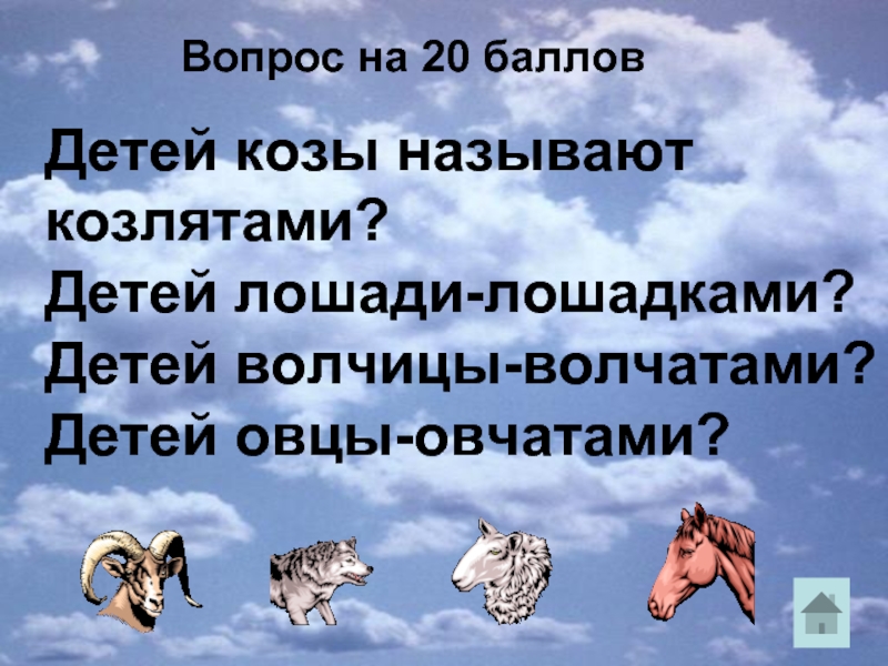 Как назвать козу клички. Имя для козлёнка. клички животных козлёнок. клички для козленков. как можно назвать козлика.
