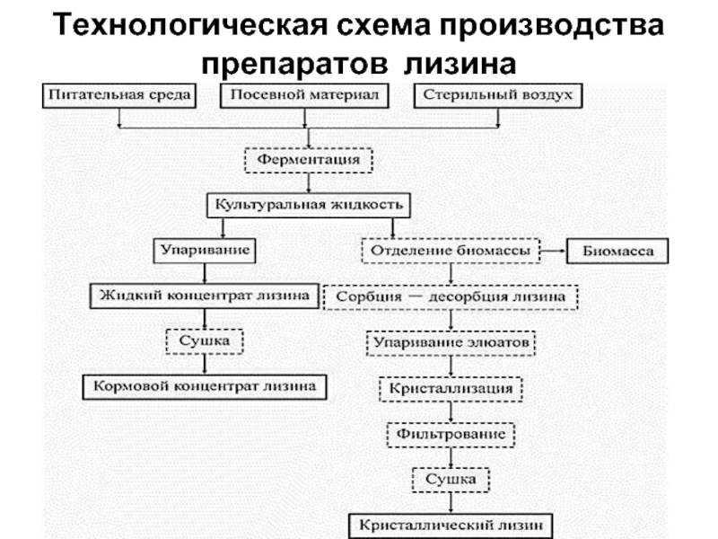 Технологическая схема лизина