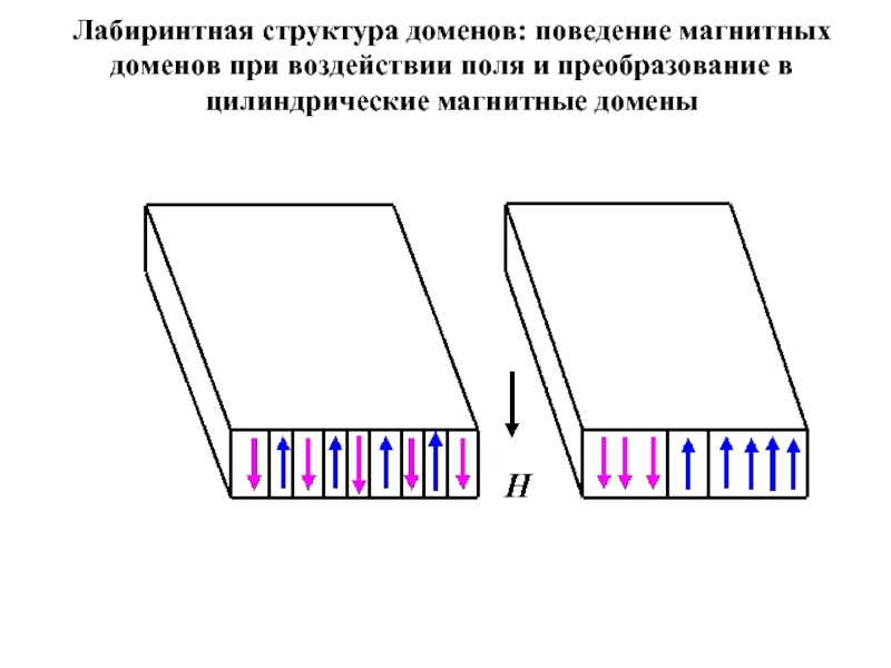 Магнитные дом