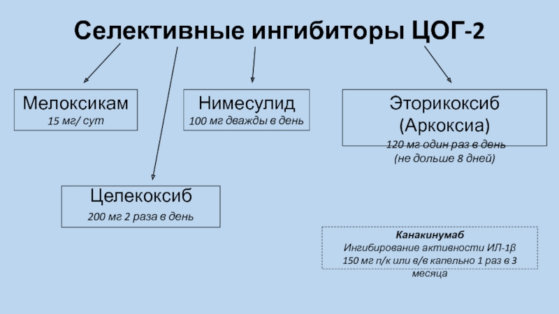 Селективные ингибиторы цог