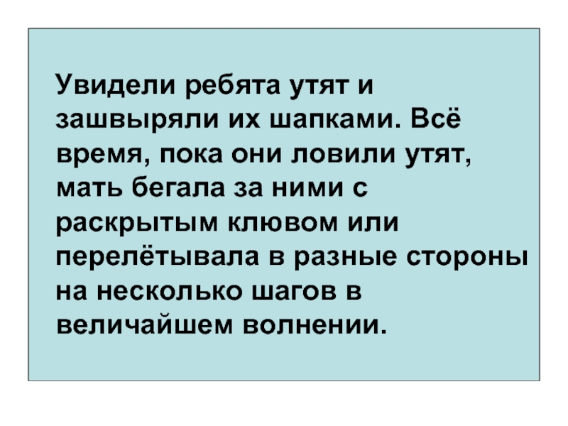 Ребята заметили. Ребята увидели утят и зашвыряли их шапками. Зашвыряли. ЗАШВЫРЯТЬ это.