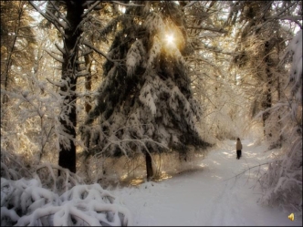 1873 - 1954 М И Х А И Л П Р И Ш В И Н Когда стемнело, я зажег лампу, и –здравствуйте! – ежик выбежал из-под кровати. Он, конечно, подумал на лампу, что.