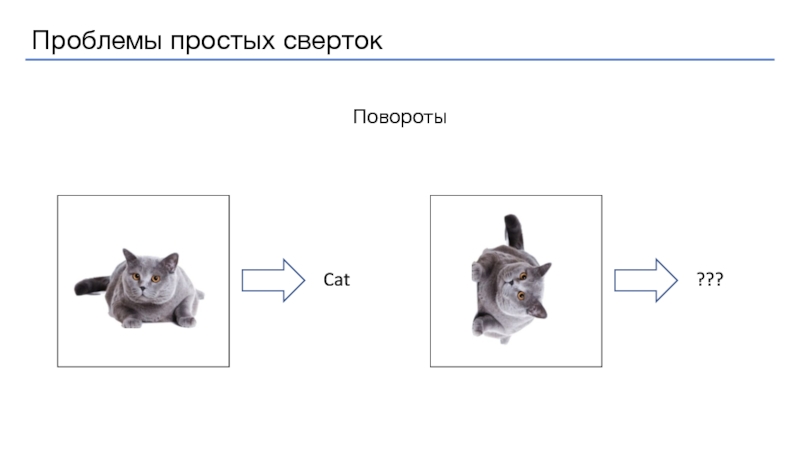 Просто проблем. Проблема простейших.