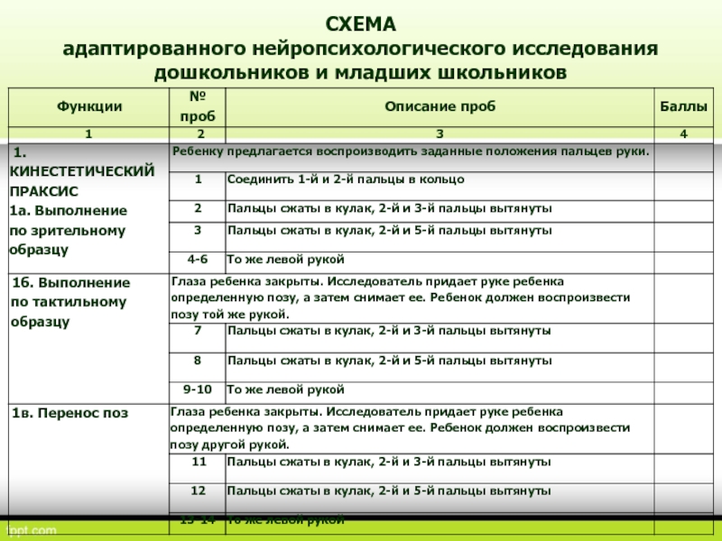 Схема нейропсихологического обследования детей