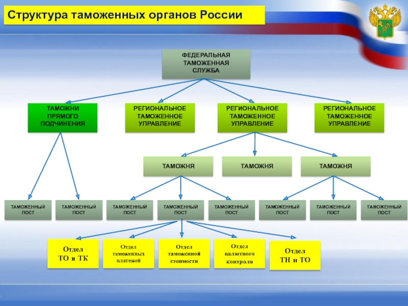 Структура таможенных органов схема