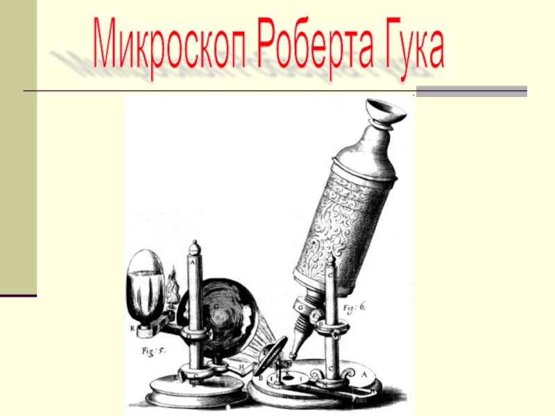 Микроскоп гука фото