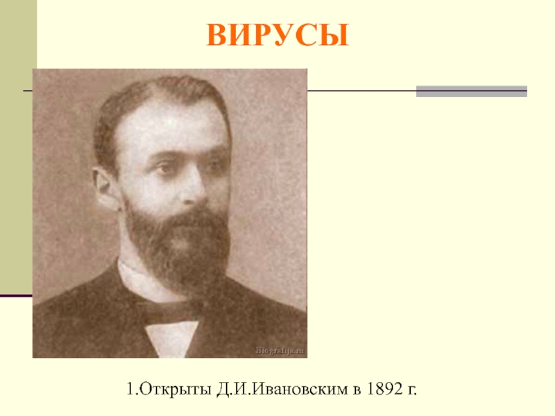 Открыты д и ивановским. 1892 – Д.Ивановский открыл вирусы;. 1892 Биология. Какие организмы были открыты д.и. ивановским. В 1892 году д и Ивановский открыл объект изображенный на рисунке.