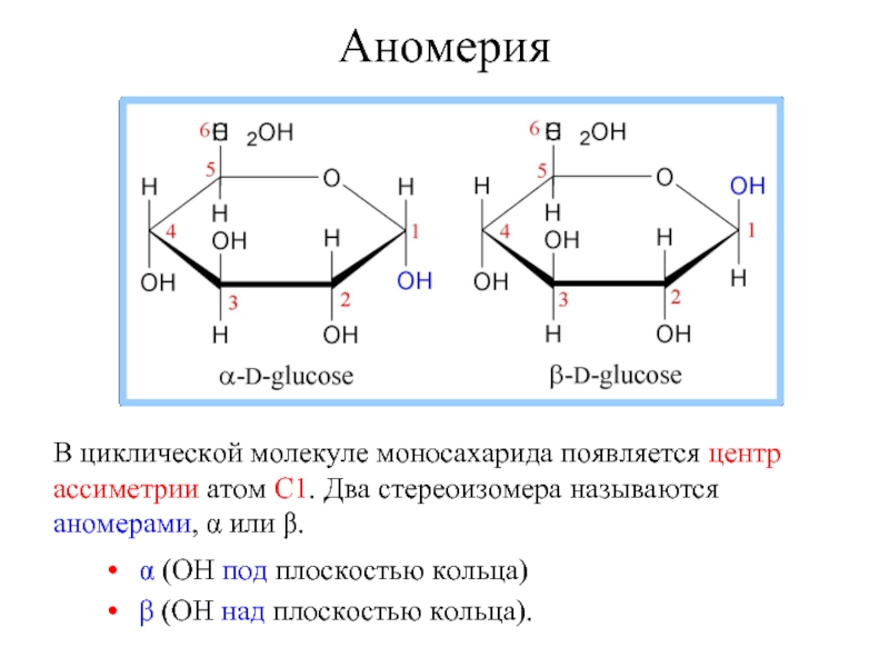 Отличие сахарозы от глюкозы реакция. Аномеры моносахаридов. Бета аномеры. Аномерный центр моносахаридов это. Аномеры (α- и -).