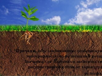 Причины, обуславливающие особенности топографического размещения почв. Зависимость распространения почв от характера рельефа