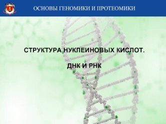 Структура нуклеиновых кислот. ДНК и РНК