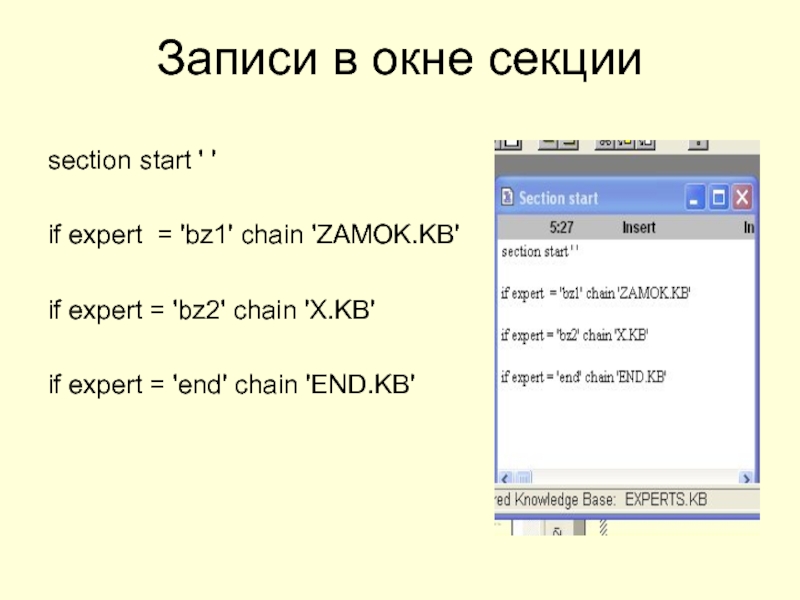 Записи в окне секцииsection start ' 'if expert = 'bz1' chain
