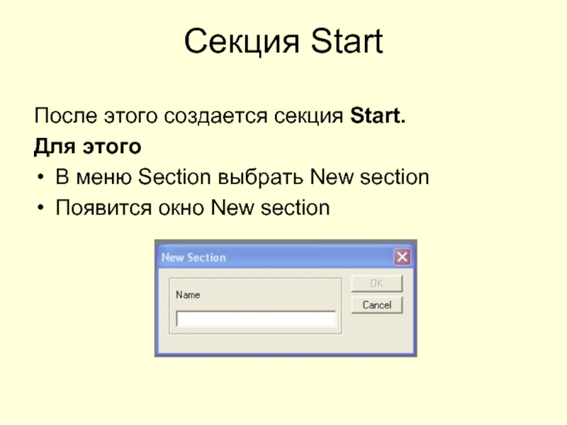Секция StartПосле этого создается секция Start.Для этогоВ меню Section выбрать New sectionПоявится окно New section