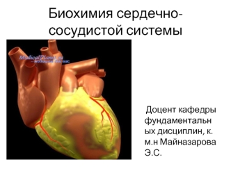 Биохимия сердечно-сосудистой системы