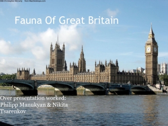 Fauna Of Great Britain