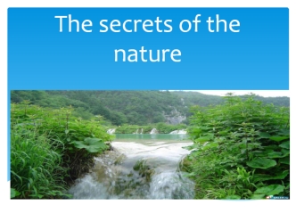 The secrets of the nature