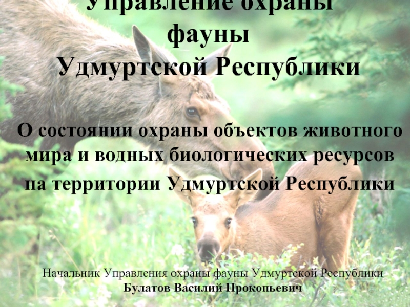 Управление охраны фауны Удмуртской Республики О состоянии охраны объектов животного мира и
