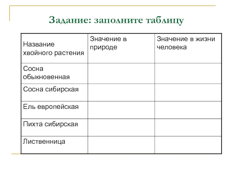 Схема голосеменных растений в природе и жизни человека