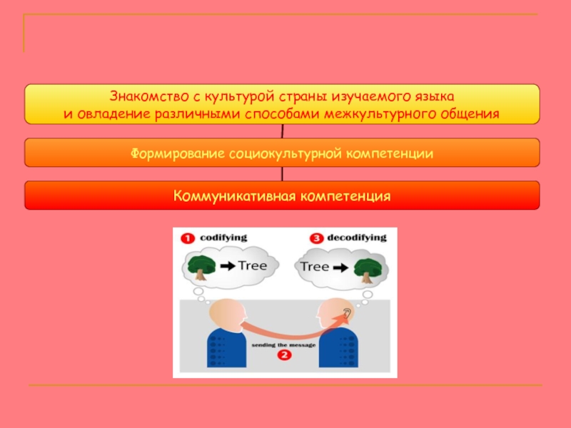 Познакомиться с культурой. Принципы взаимосвязанного обучения языку и культуре. Обучение культуре и культура обучение языка.