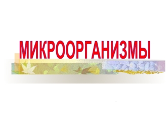 МИКРООРГАНИЗМЫ