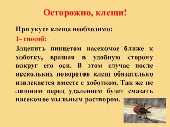 Осторожно, клещи!
