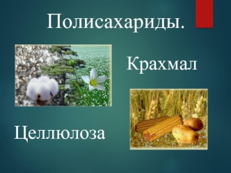 Полисахариды