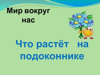 Что растёт   на подоконнике
