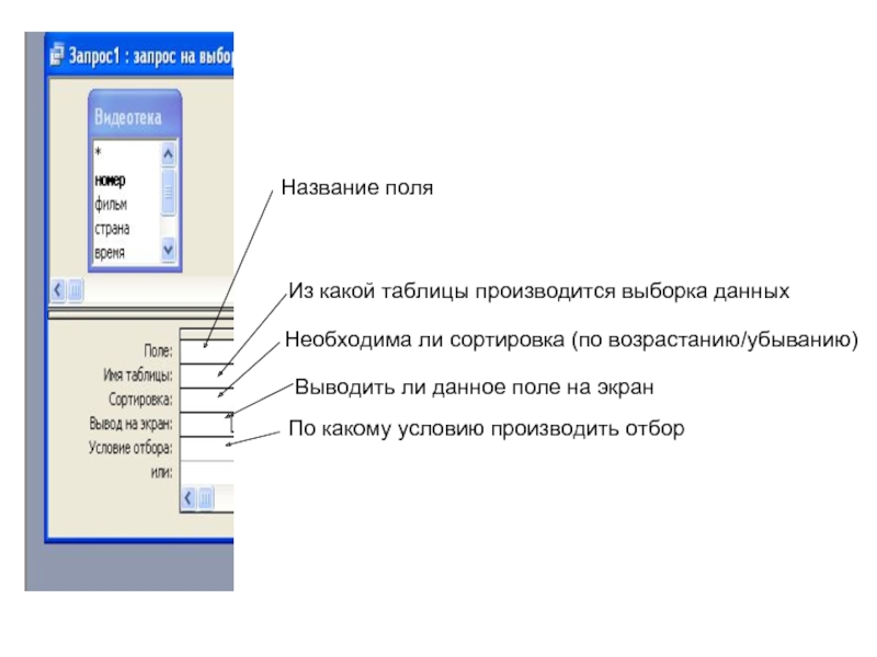 Сортировка данных в access. База данных видеотека access. БД видеотека. Создание базы данных видеотека. Название поля видеотека.