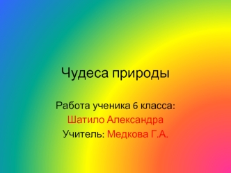 Чудеса природы
