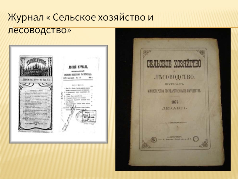 Журнал сельские. Журнал сельское хозяйство и лесоводство. Дневник сельское хозяйство. Журнал сельское хозяйство и лесоводство 1860. Журнал сельское и Лесное хозяйство.