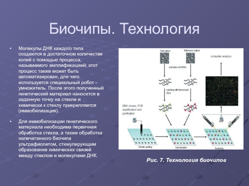 Днк микрочипы презентация