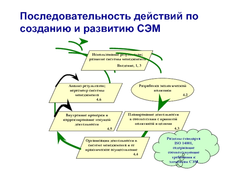 Проект последовательность действий. Исследовательский проект порядок действий. Система экологического менеджмента (Сэм).