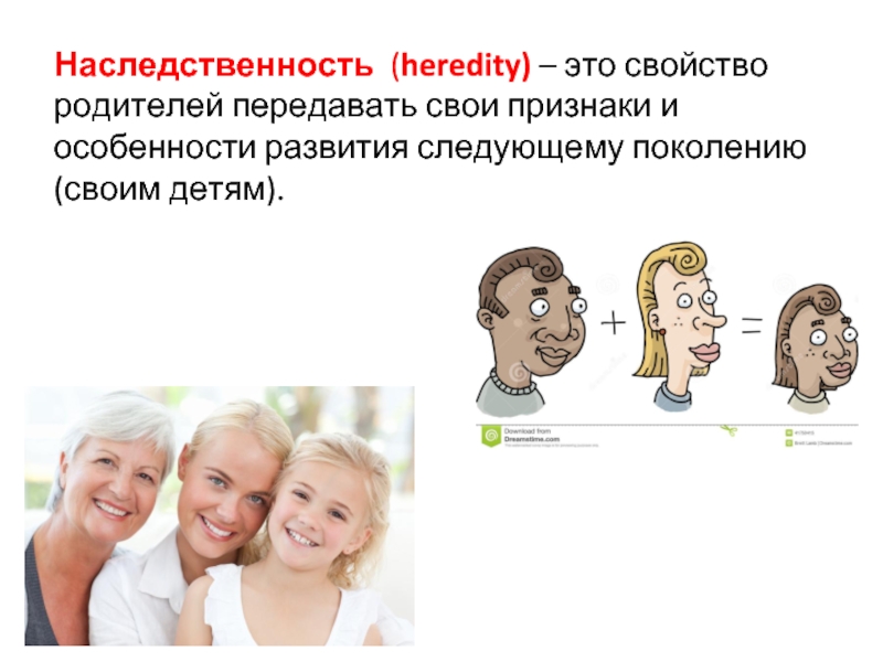 Наследственность фото для презентации