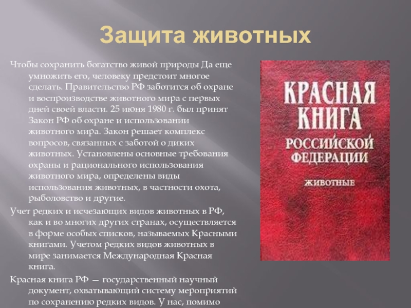 Реферат на тему защита. Охрана животных красная книга. Книги по охране животных. Книга охраны животных. Защита животных красной книги России.