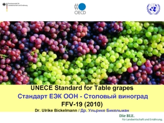 UNECE Standard for Table grapes  Стандарт ЕЭК ООН - Столовый виноград FFV-19 (2010)Dr. Ulrike Bickelmann / Др. Ульрике Бикельман