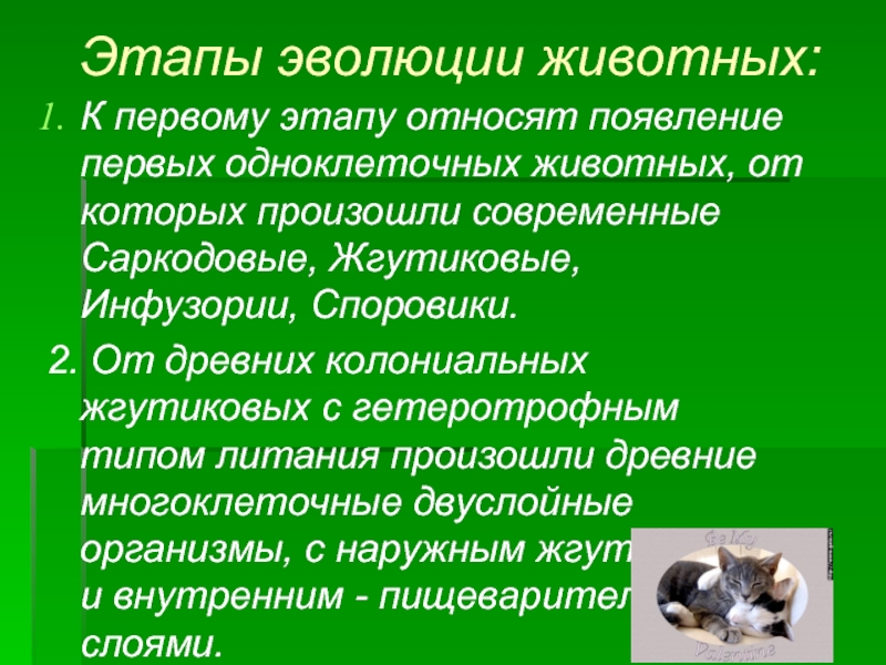 Доказательства эволюции животного мира презентация 7 класс константинов