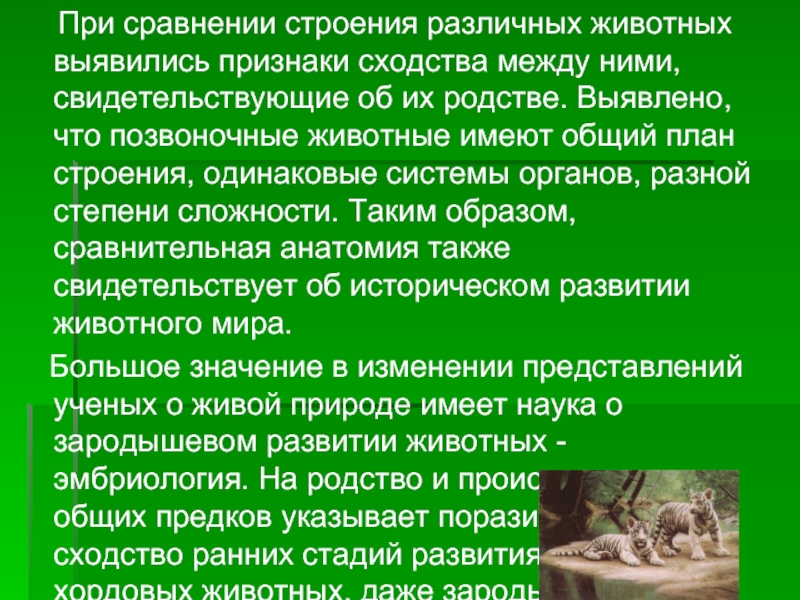 Сходство человека и млекопитающих свидетельствует об их родстве и общем плане строения