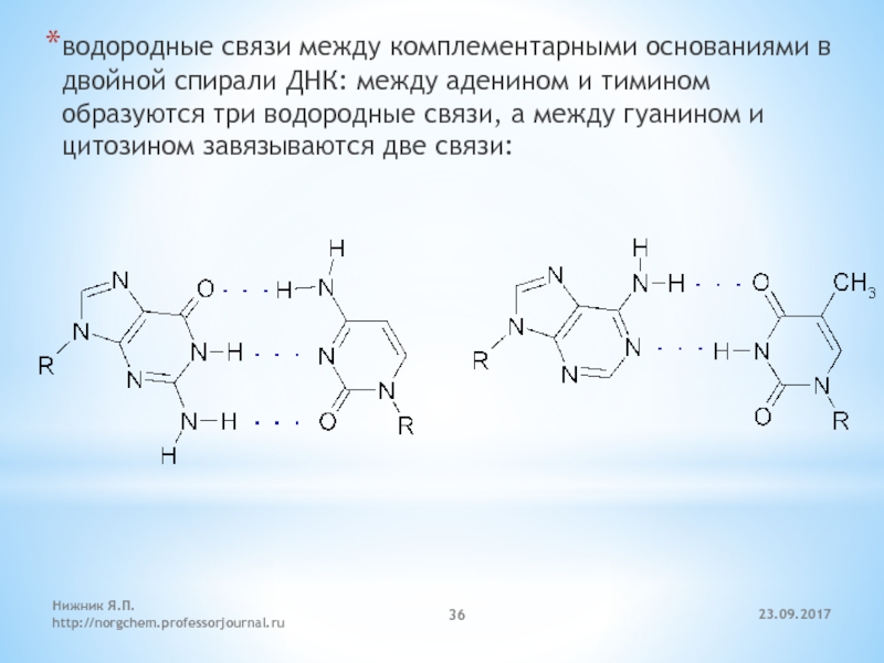 Связи между днк. Водородные связи между аденином и тимином схема. Связь между аденином и тимином. Водородные связи между комплементарными основаниями. Образование водородных связей между аденином и тимином.