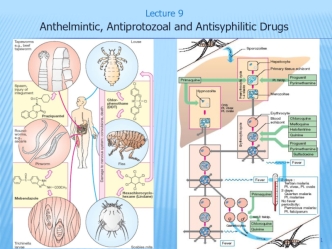 Anthelmintic, antiprotozoal and antisyphilitic drugs