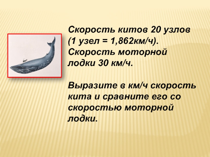 Скорость моторной. Скорость 1 узел в км/ч. Скорость кита. Скорость движения кита. Скорость моторной лодки.