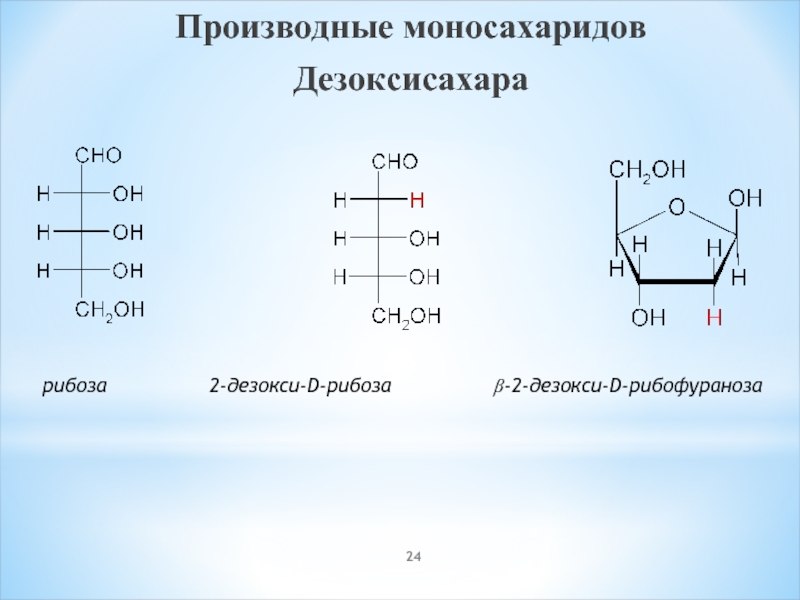 Рибоза реакция гидролиза. 2 Дезокси д рибоза. Энантиомер для 2-дезокси-d-рибозы. D-рибоза и 2-дезокси-d-рибоза. Β–2–дезокси– d – рибозы.