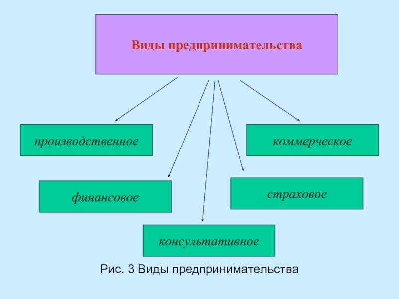 Виды предпринимательских проектов