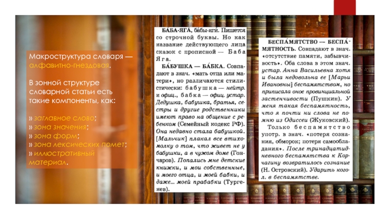 Макроструктура словаря — алфавитно-гнездовая.
 
 В зонной структуре словарной статьи есть такие