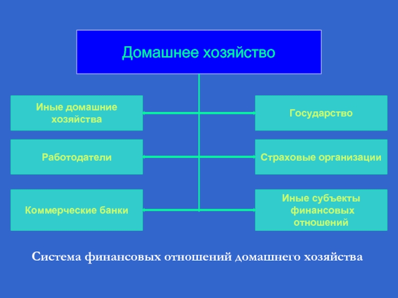 Функции домохозяйства обществознание