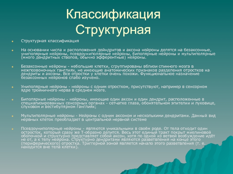 Доклад по теме Загальні відомості про дзеркальні нейрони