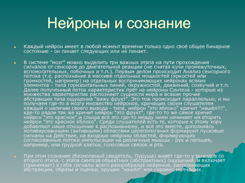 Доклад по теме Загальні відомості про дзеркальні нейрони