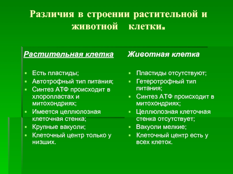 Питание растений и животных различия. Различия клеток растений и животных. Различия животной и растительной клетки.