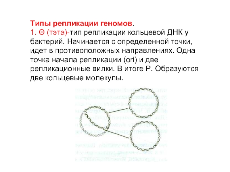 Репликации геномов