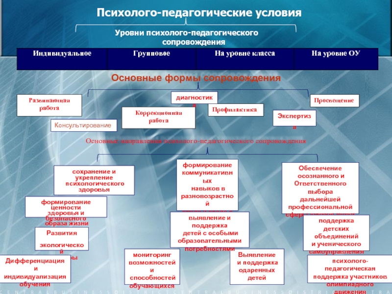 Допустима ли дифференциация учебных проектов на коллективные групповые и индивидуальные